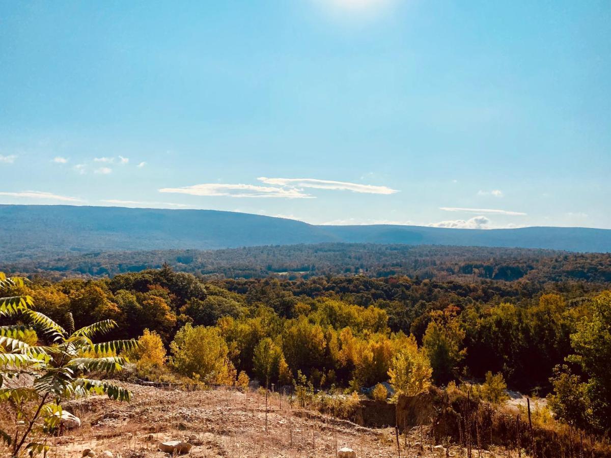 Arcady Mountain Motor Lodge Sunderland Zewnętrze zdjęcie