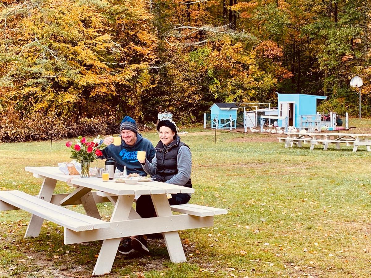 Arcady Mountain Motor Lodge Sunderland Zewnętrze zdjęcie