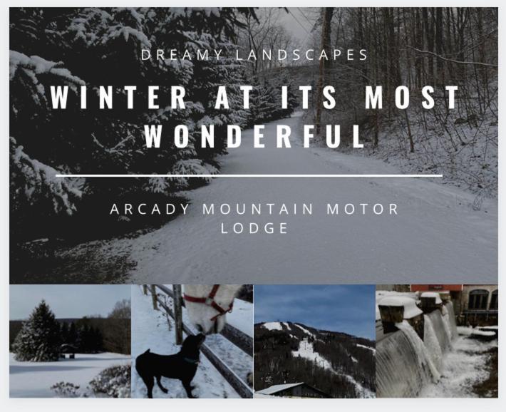 Arcady Mountain Motor Lodge Sunderland Zewnętrze zdjęcie